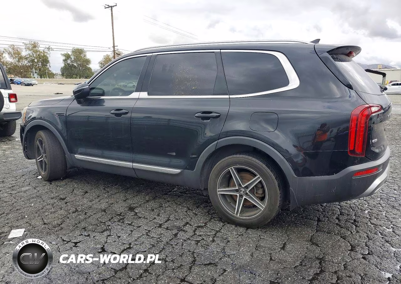 2022 Kia Telluride Ex VIN:5XYP3DHC5NG211398 - 2