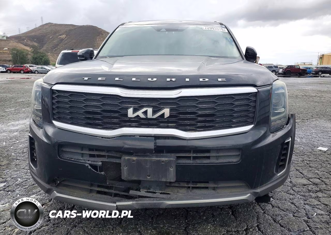 2022 Kia Telluride Ex VIN:5XYP3DHC5NG211398 - 5