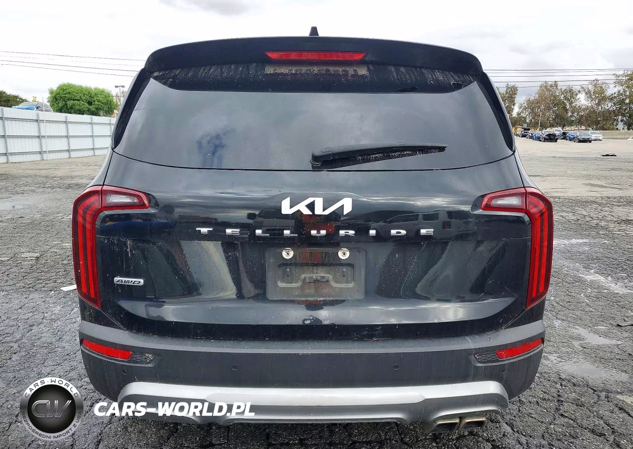 2022 Kia Telluride Ex VIN:5XYP3DHC5NG211398 - 6