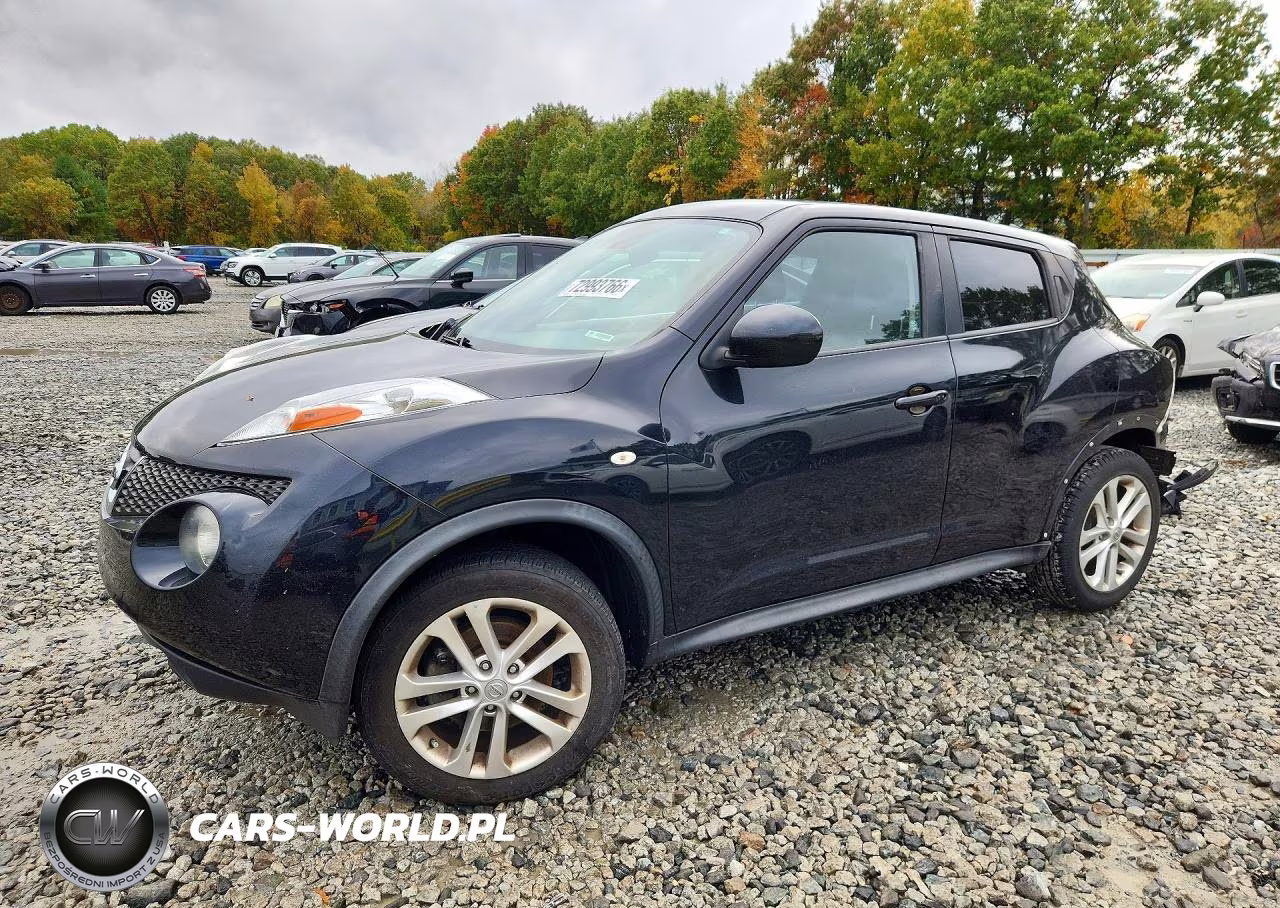 2013 Nissan Juke S VIN:JN8AF5MR0DT215587 - 1