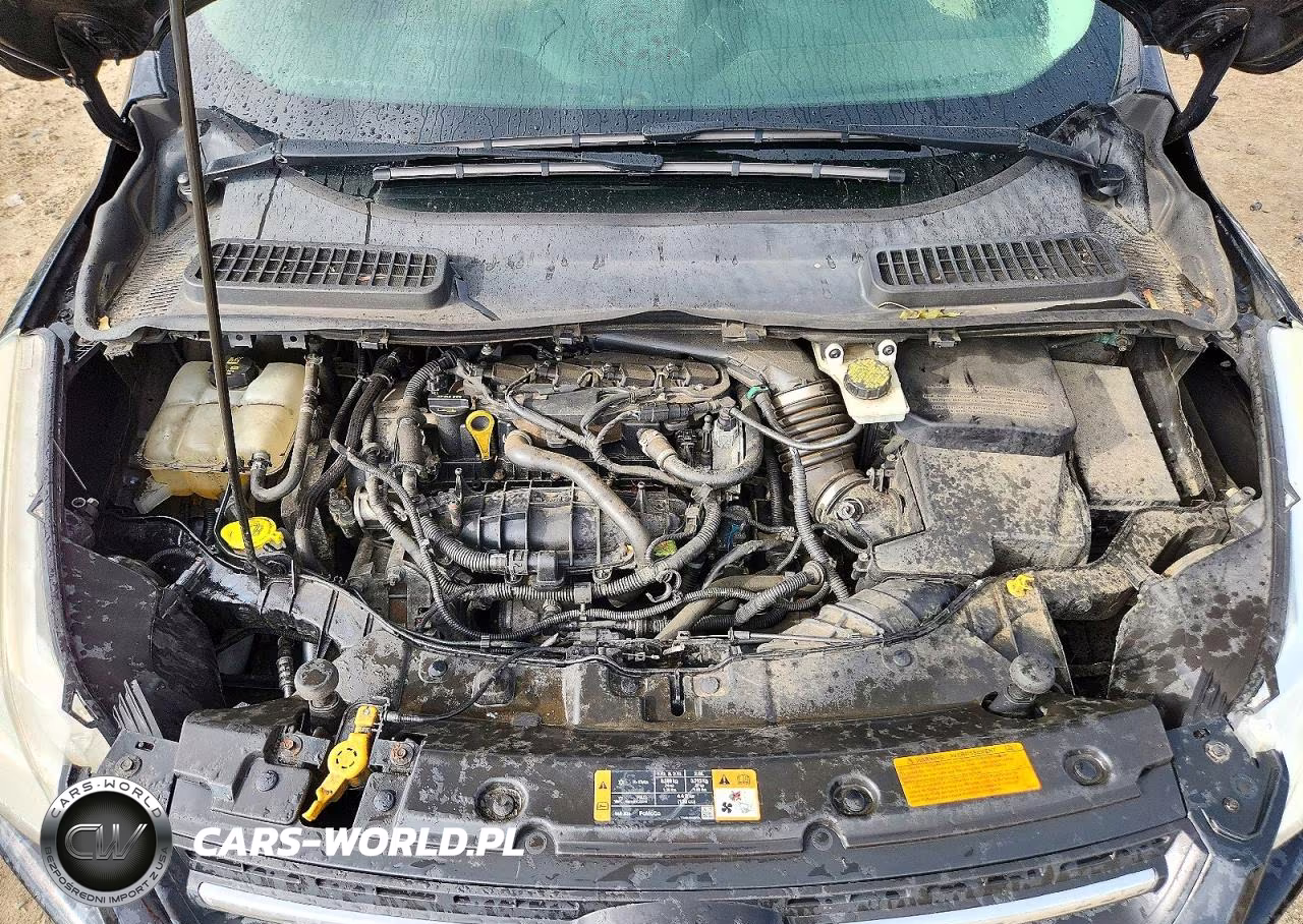2014 Ford Escape Se VIN:1FMCU9GX9EUB52878 - 12