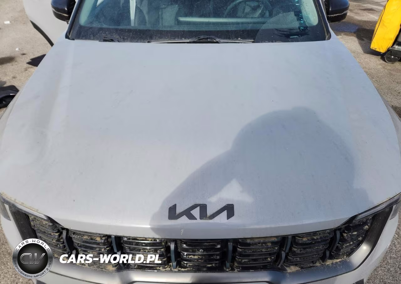 2025 Kia Sorento X-Line Sx VIN:5XYRKDJF8SG339985 - 12