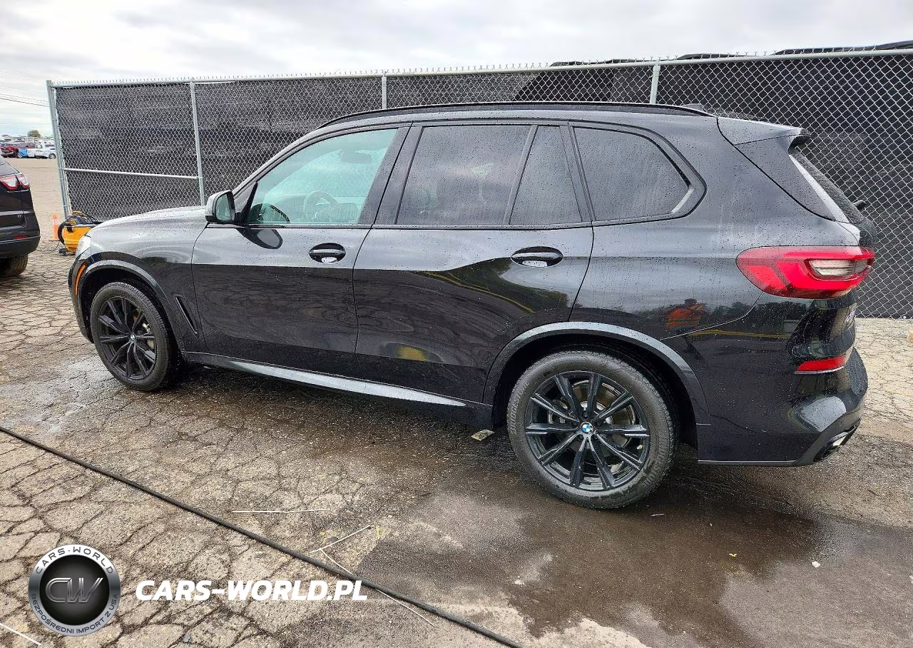 2020 BMW X5 xDrive40I VIN:5UXCR6C04L9C67113 - 2