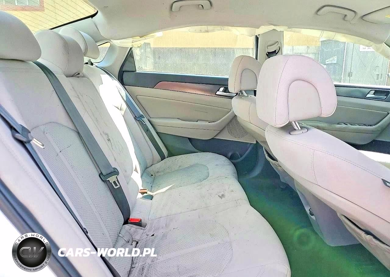 2017 Hyundai Sonata Sport VIN:5NPE34AF8HH535017 - 10