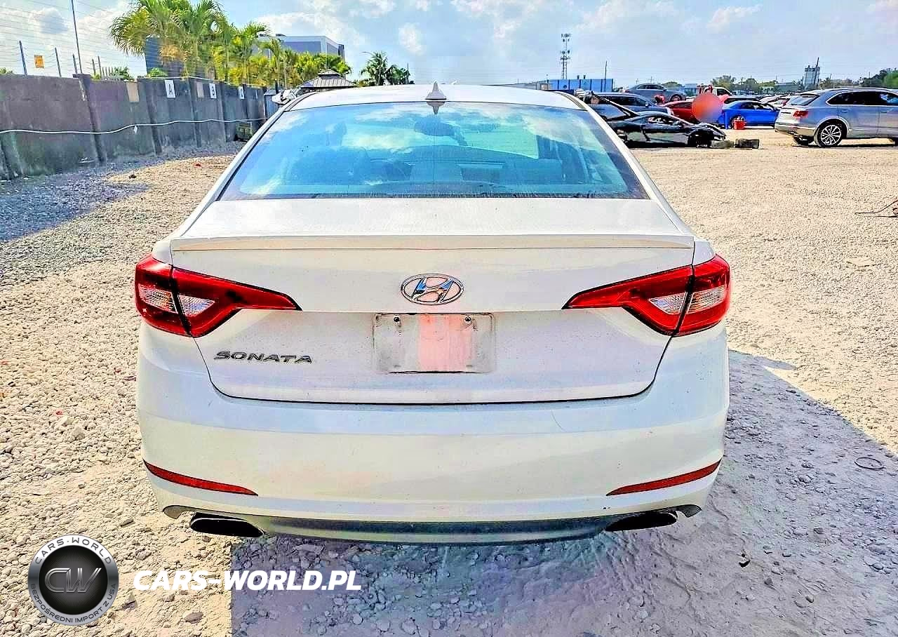 2017 Hyundai Sonata Sport VIN:5NPE34AF8HH535017 - 6