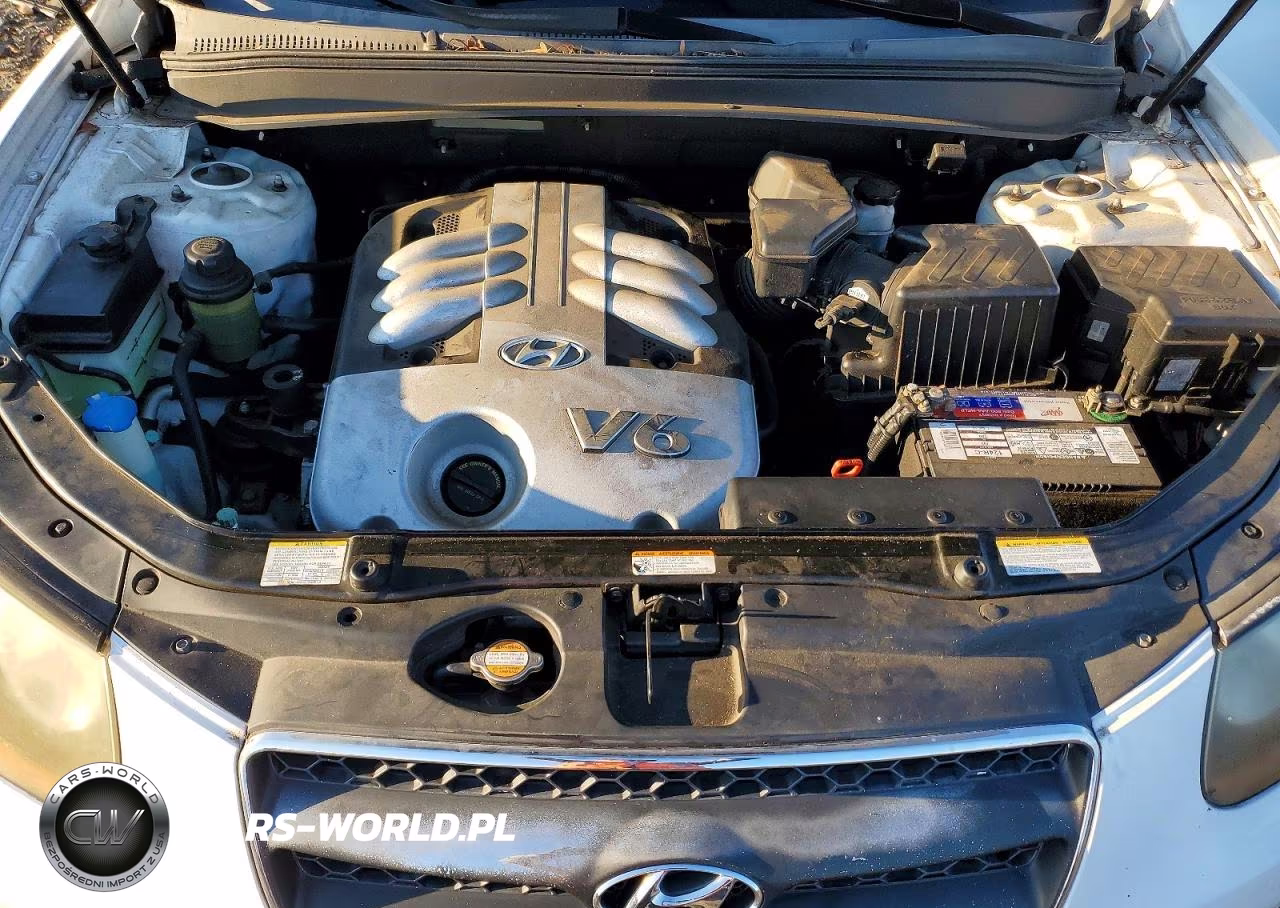 2007 Hyundai Santa Fe Se VIN:5NMSH73E07H040915 - 12