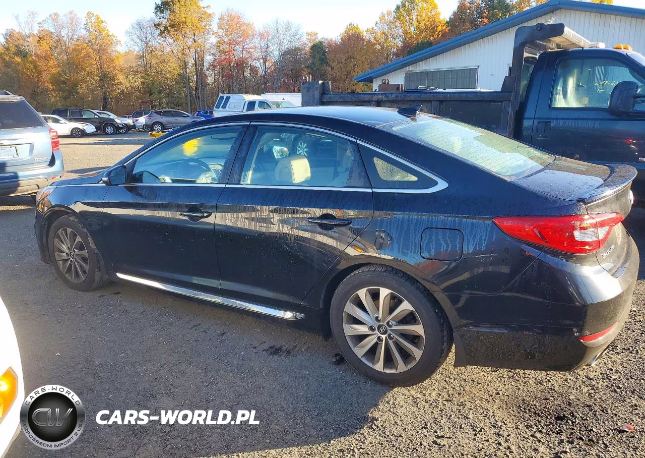 2017 Hyundai Sonata Sport VIN:5NPE34AF4HH555345 - 2