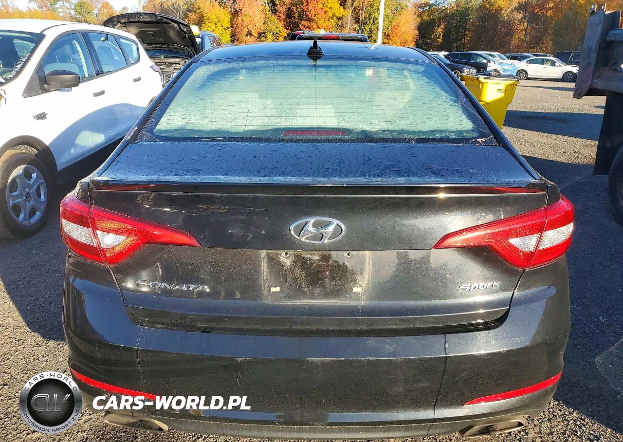 2017 Hyundai Sonata Sport VIN:5NPE34AF4HH555345 - 6