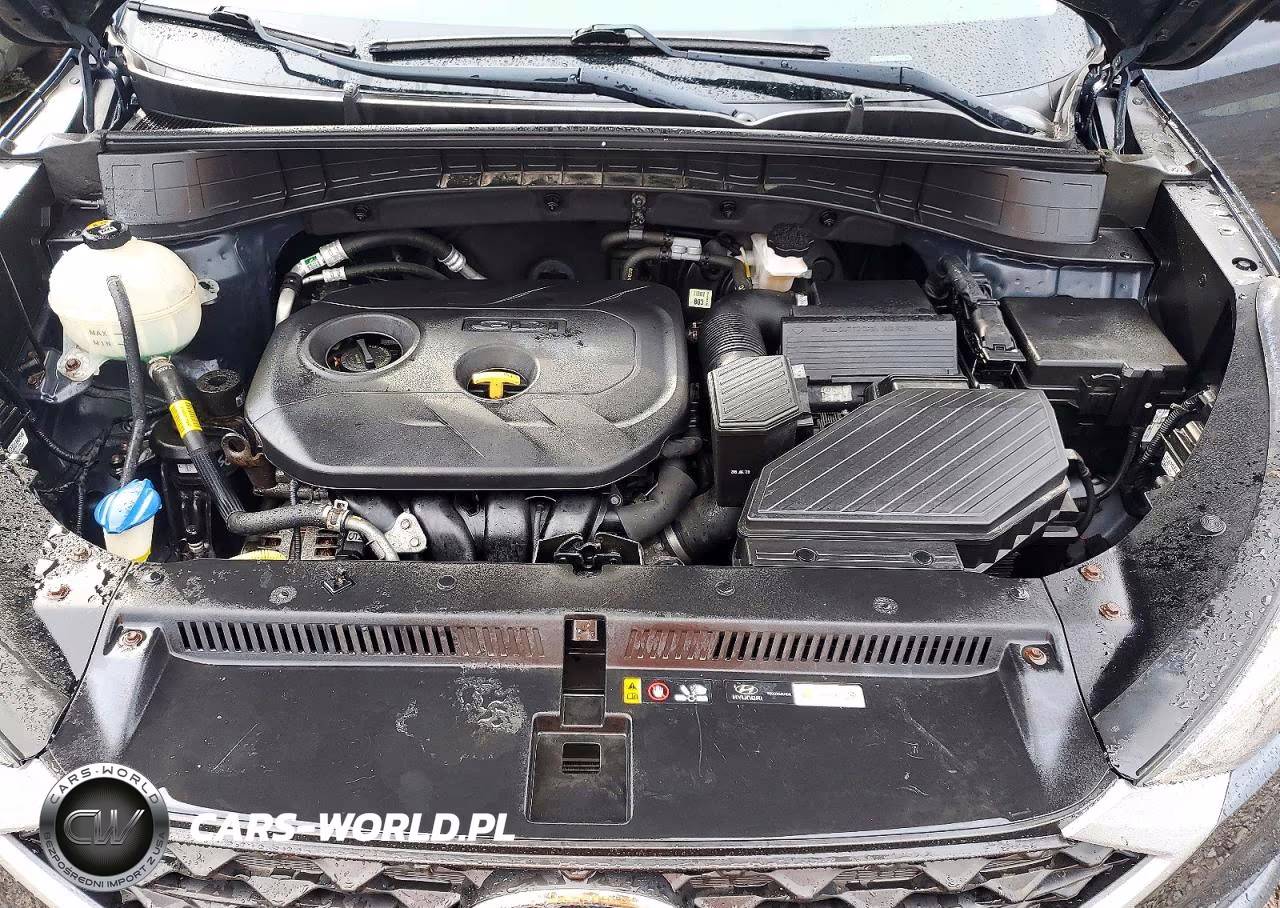 2019 Hyundai Tucson Se VIN:KM8J2CA48KU080186 - 12
