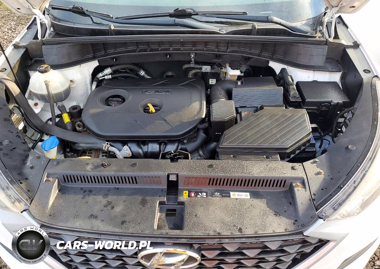 2019 Hyundai Tucson Se VIN:KM8J3CA44KU954806 - 12