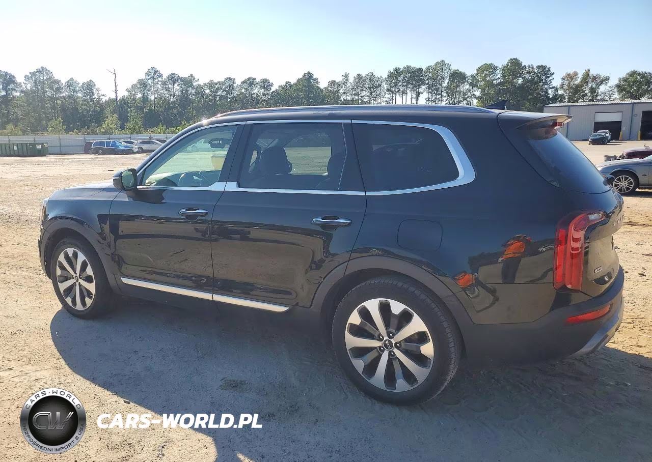 2020 Kia Telluride S VIN:5XYP6DHC1LG003314 - 2