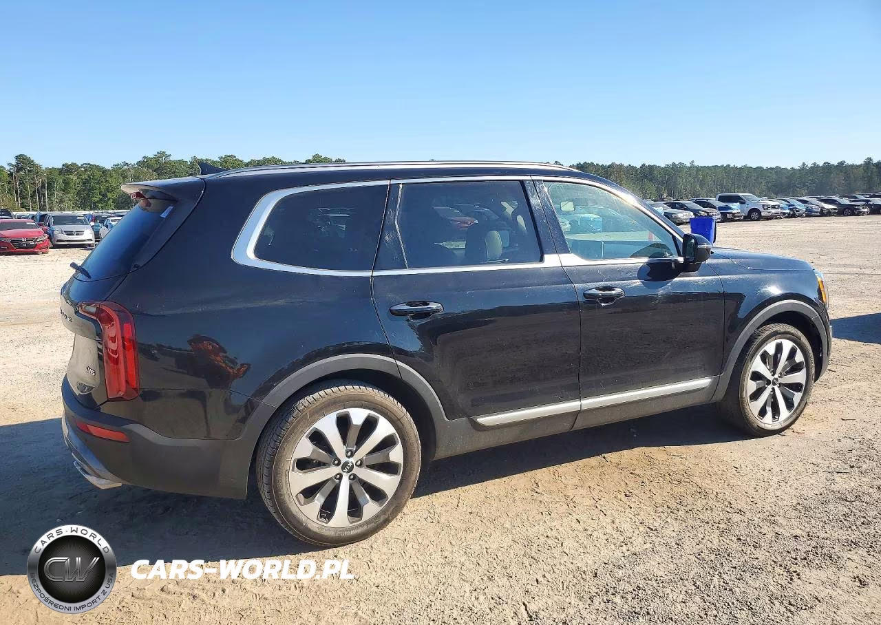 2020 Kia Telluride S VIN:5XYP6DHC1LG003314 - 3
