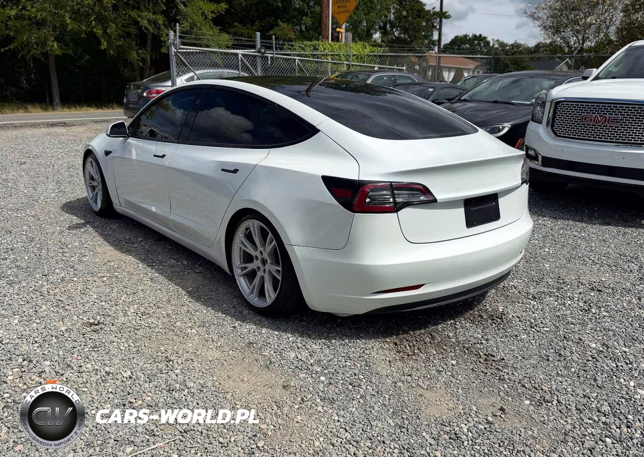 2020 Tesla Model 3 VIN:5YJ3E1EC1LF715057 - 3