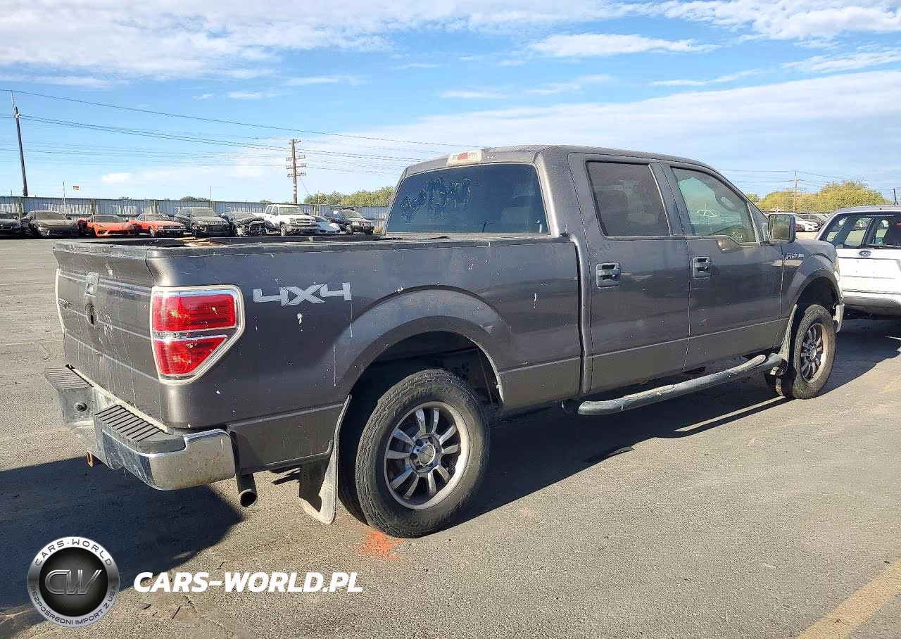 2009 Ford F150 Supercrew VIN:1FTPW14V69KA23342 - 3