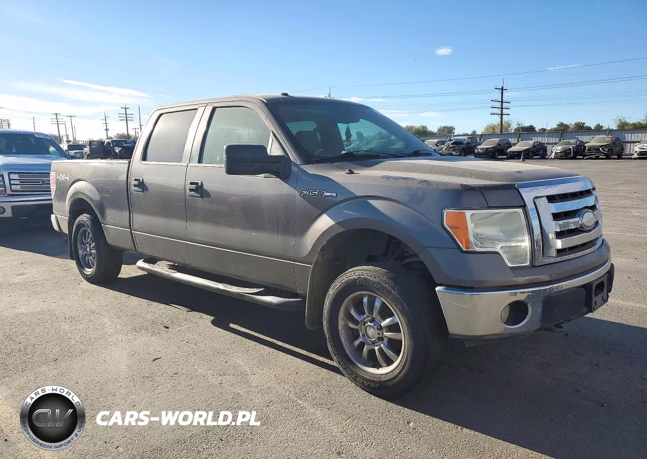 2009 Ford F150 Supercrew VIN:1FTPW14V69KA23342 - 4
