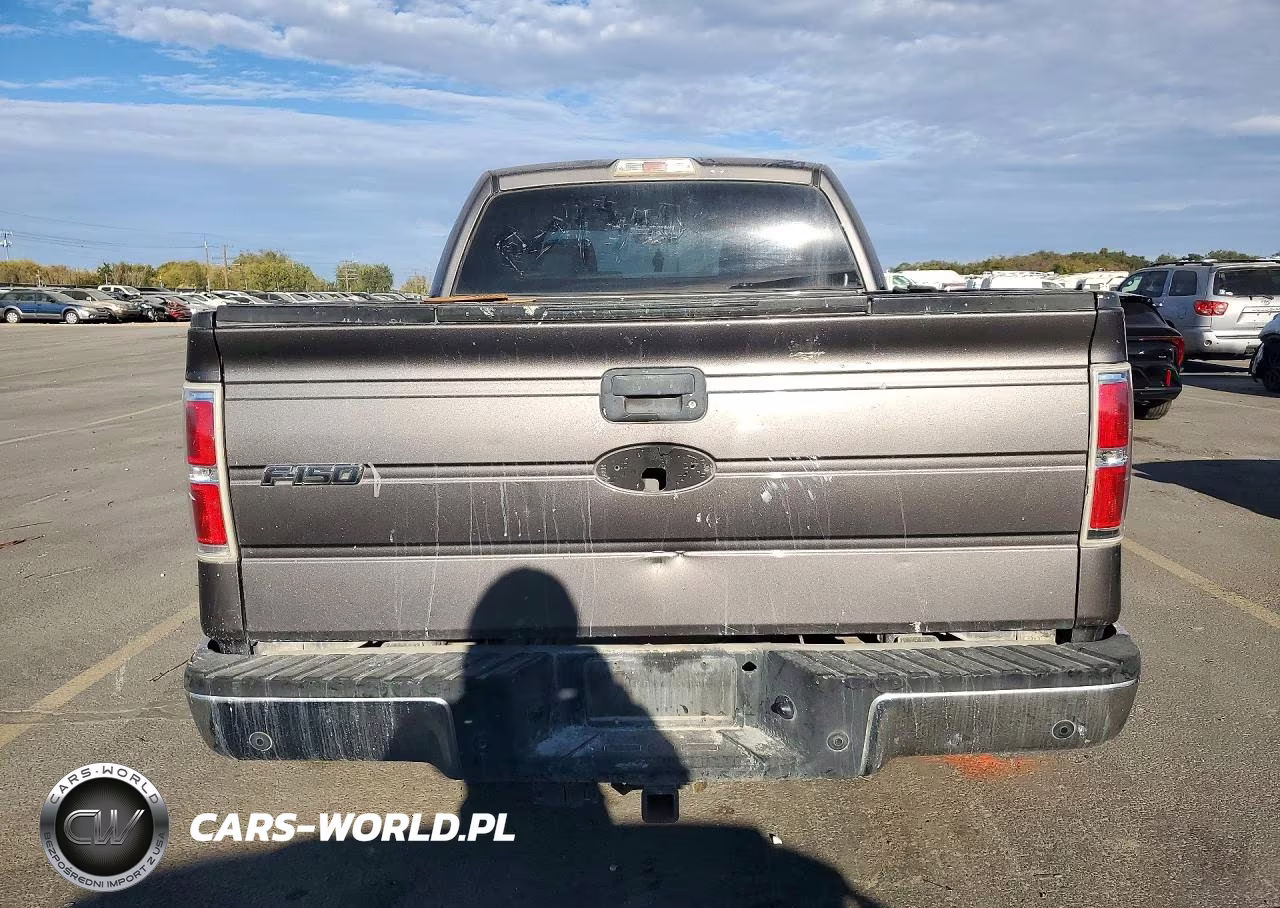2009 Ford F150 Supercrew VIN:1FTPW14V69KA23342 - 6