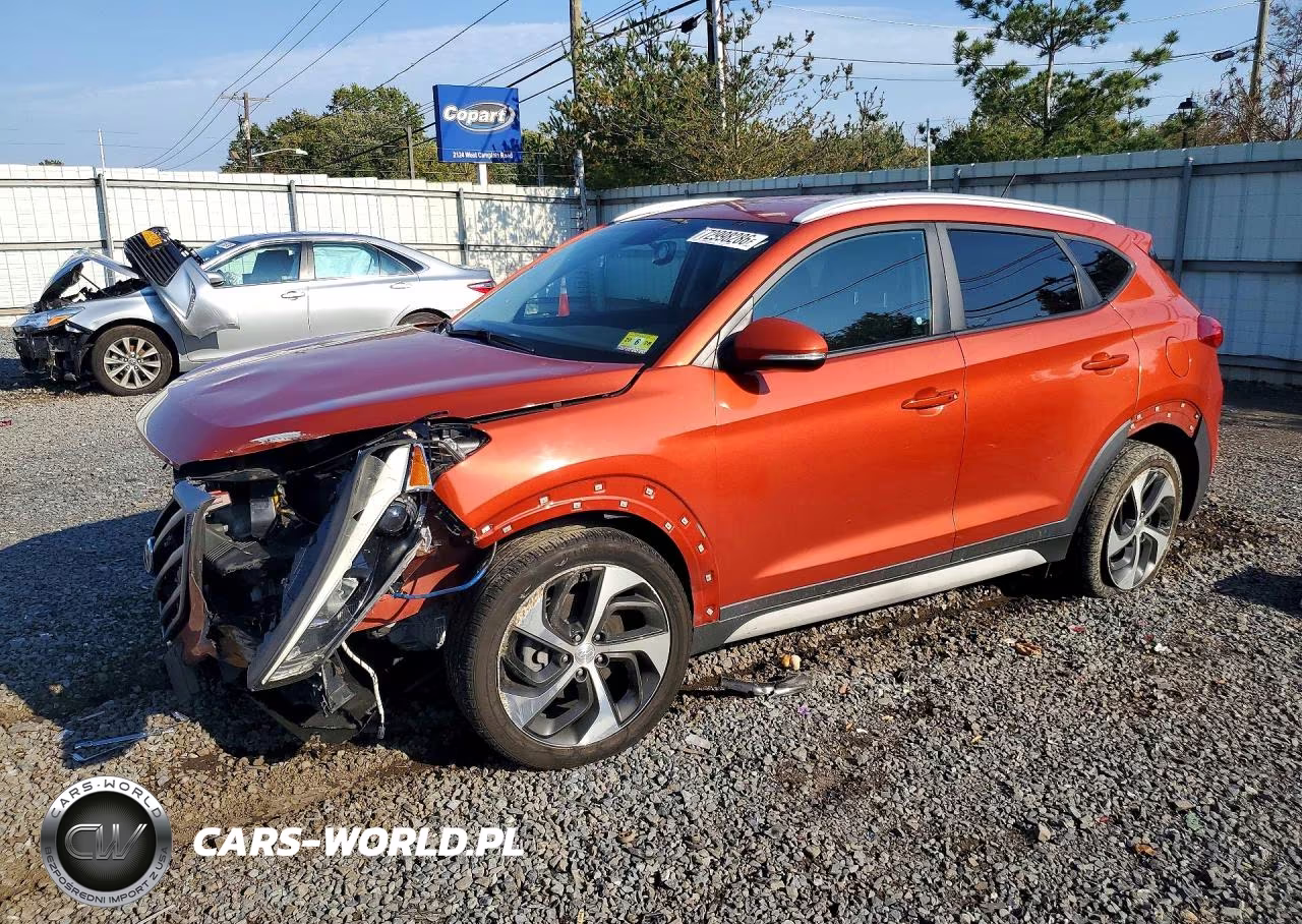 2017 Hyundai Tucson Sport VIN:KM8J3CA29HU460531 - 1