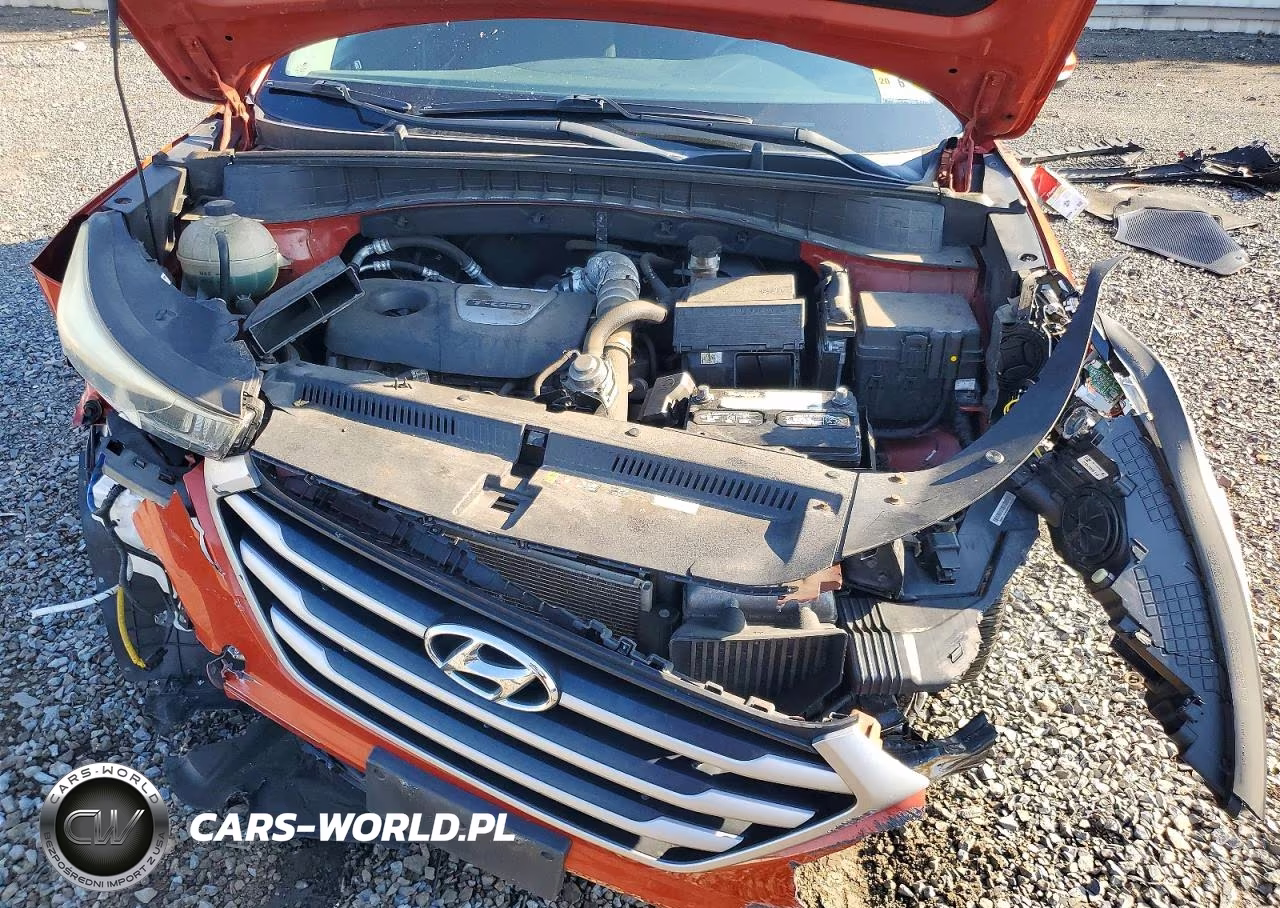 2017 Hyundai Tucson Sport VIN:KM8J3CA29HU460531 - 12