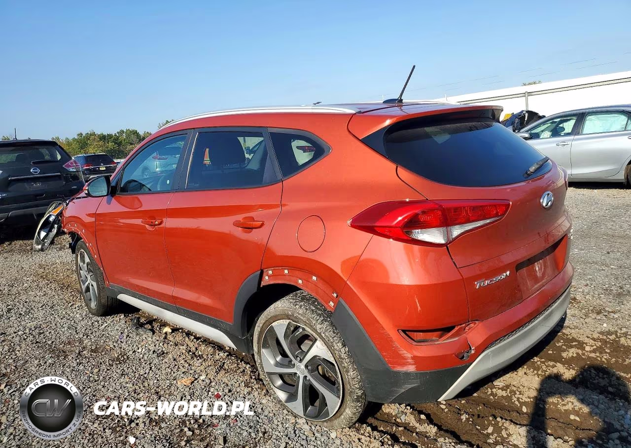 2017 Hyundai Tucson Sport VIN:KM8J3CA29HU460531 - 2