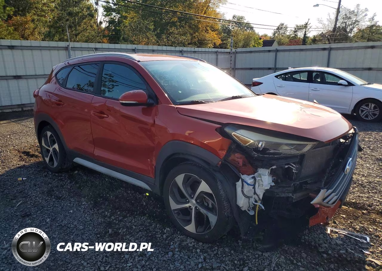 2017 Hyundai Tucson Sport VIN:KM8J3CA29HU460531 - 4