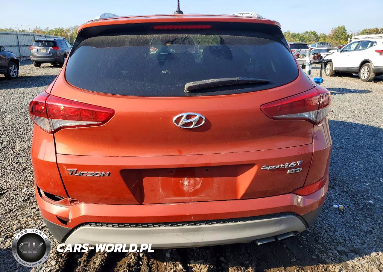 2017 Hyundai Tucson Sport VIN:KM8J3CA29HU460531 - 6
