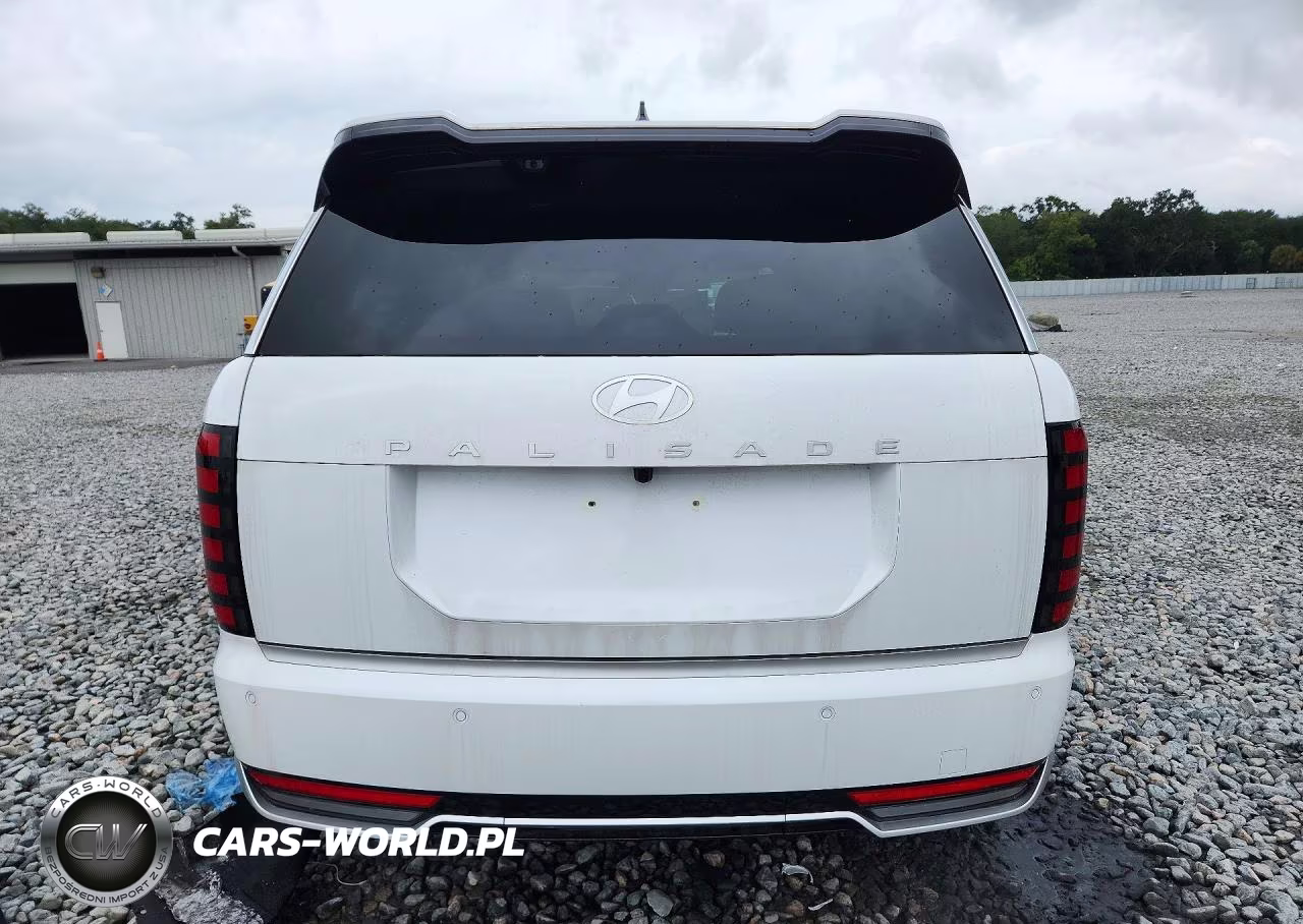 2026 Hyundai Palisade Calligraphy VIN:KM8RM5S26TU029812 - 6