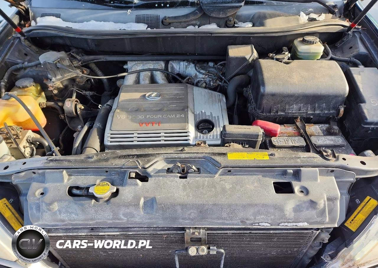 2001 Lexus Rx 300 VIN:JTJHF10UX10232145 - 11