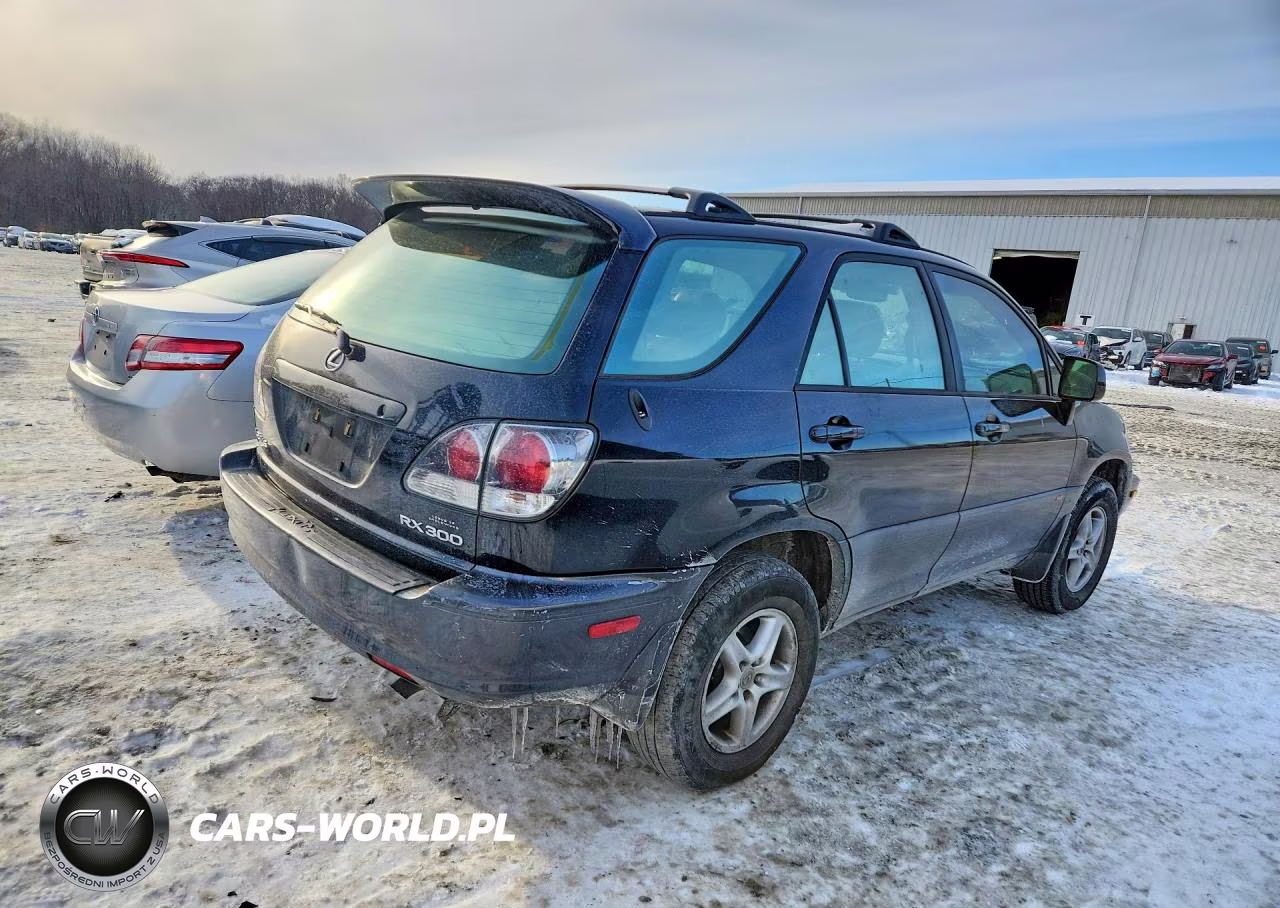 2001 Lexus Rx 300 VIN:JTJHF10UX10232145 - 3