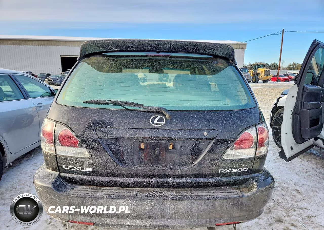 2001 Lexus Rx 300 VIN:JTJHF10UX10232145 - 6