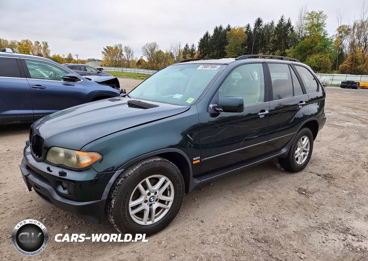 2004 BMW X5 3.0I VIN:5UXFA13584LU29524 - 1
