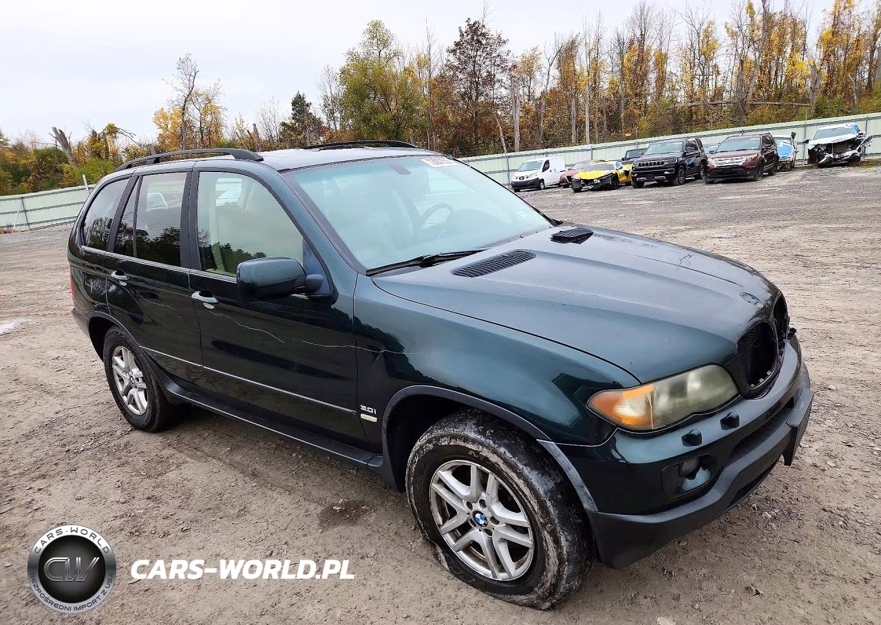 2004 BMW X5 3.0I VIN:5UXFA13584LU29524 - 4