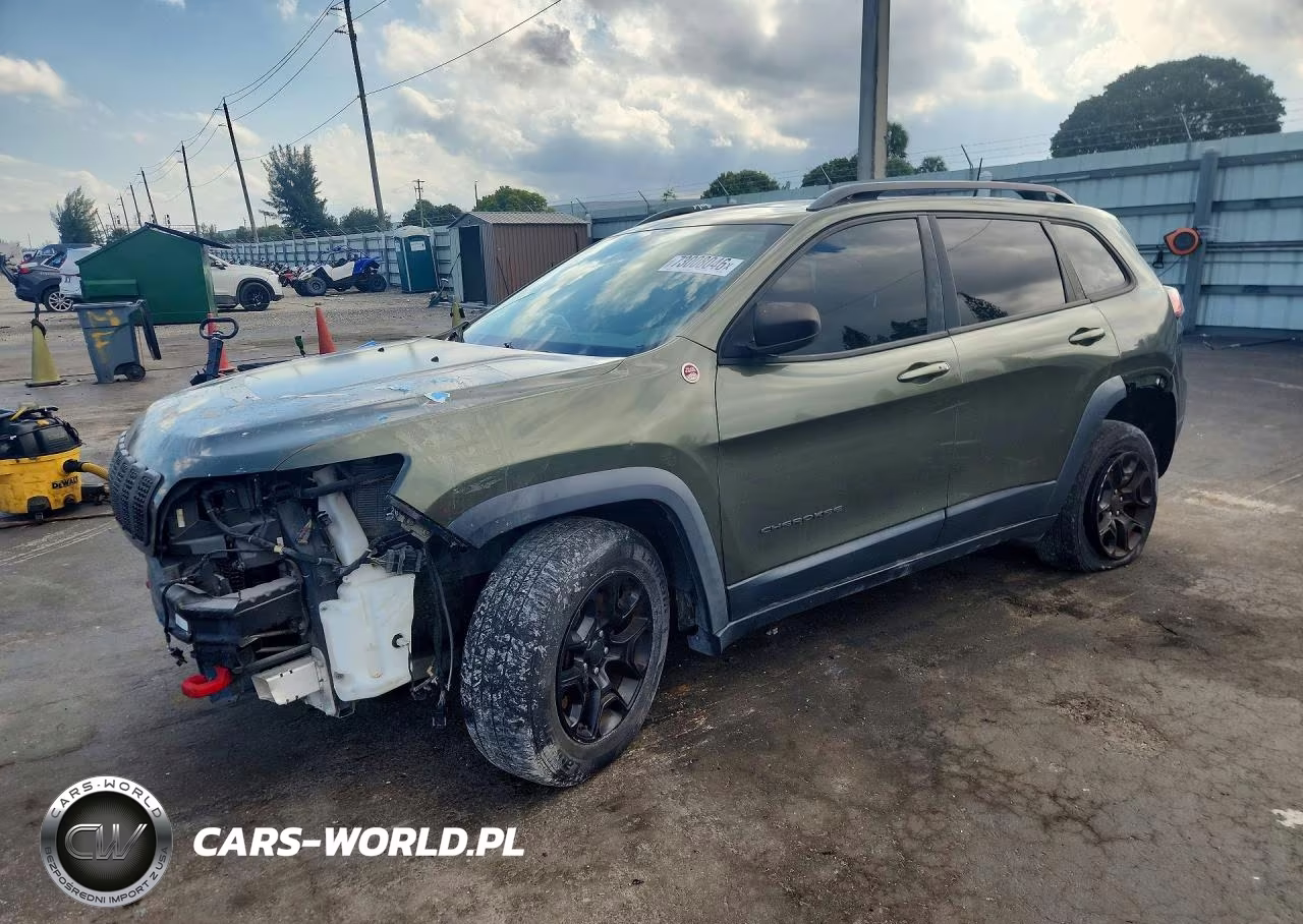 2019 Jeep Cherokee Trailhawk VIN:1C4PJMBX5KD169410 - 1