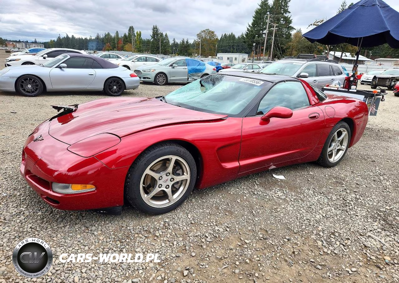 2004 Chevrolet Corvette VIN:1G1YY22G745123006 - 1