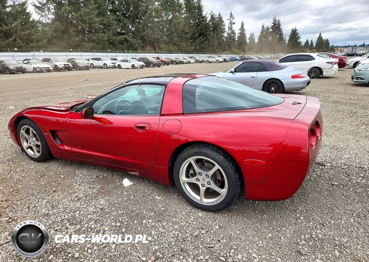 2004 Chevrolet Corvette VIN:1G1YY22G745123006 - 2
