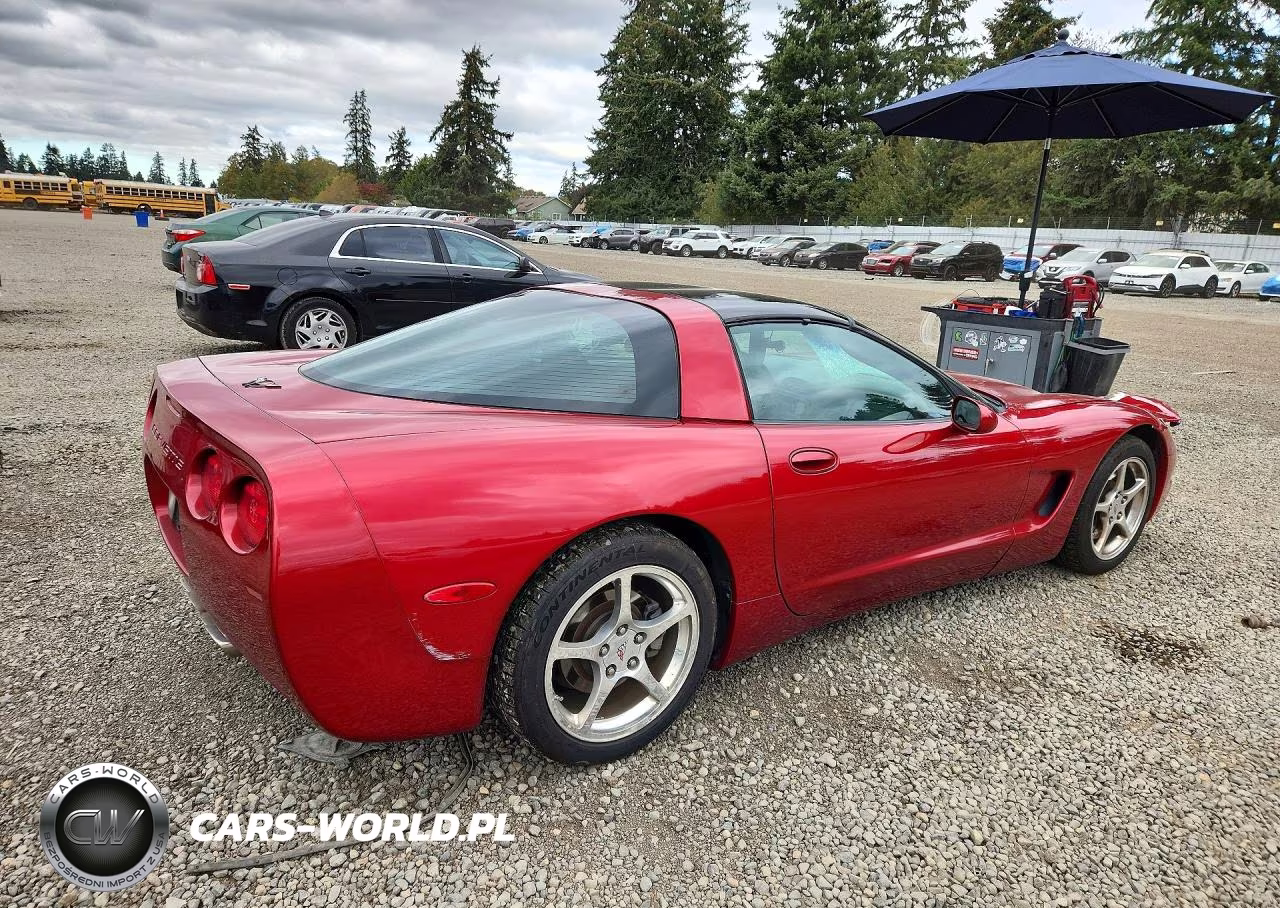 2004 Chevrolet Corvette VIN:1G1YY22G745123006 - 3