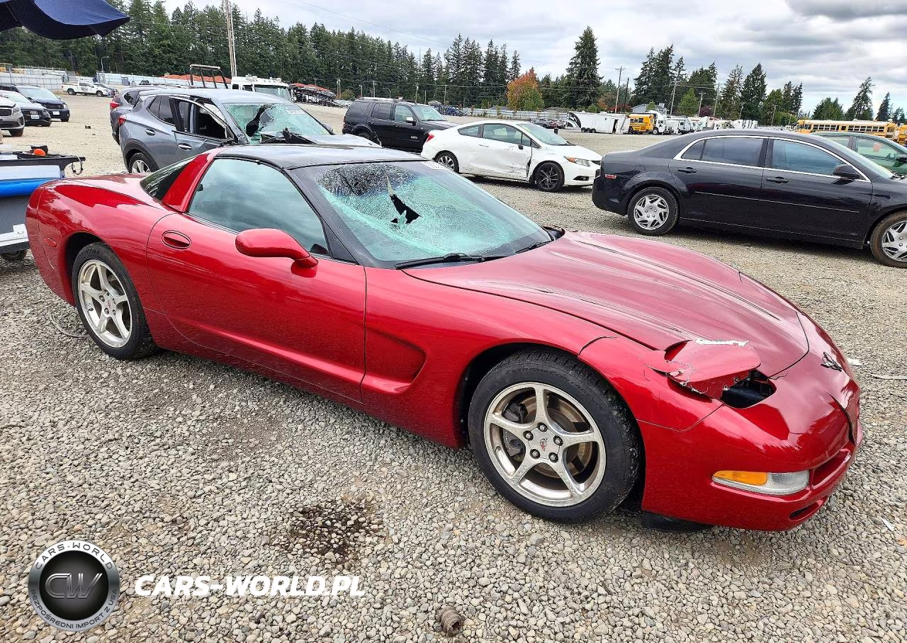 2004 Chevrolet Corvette VIN:1G1YY22G745123006 - 4