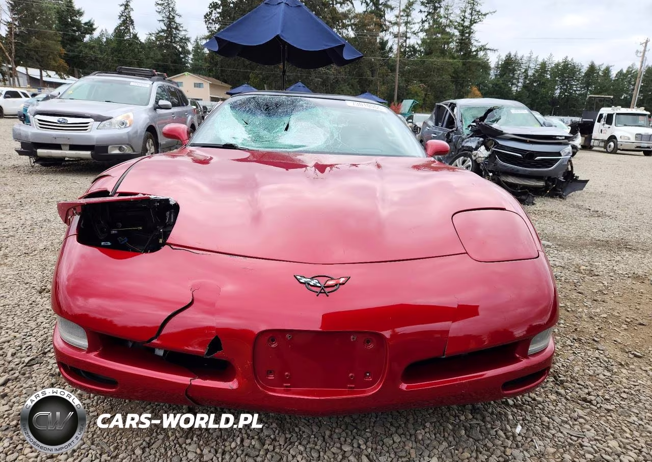 2004 Chevrolet Corvette VIN:1G1YY22G745123006 - 5