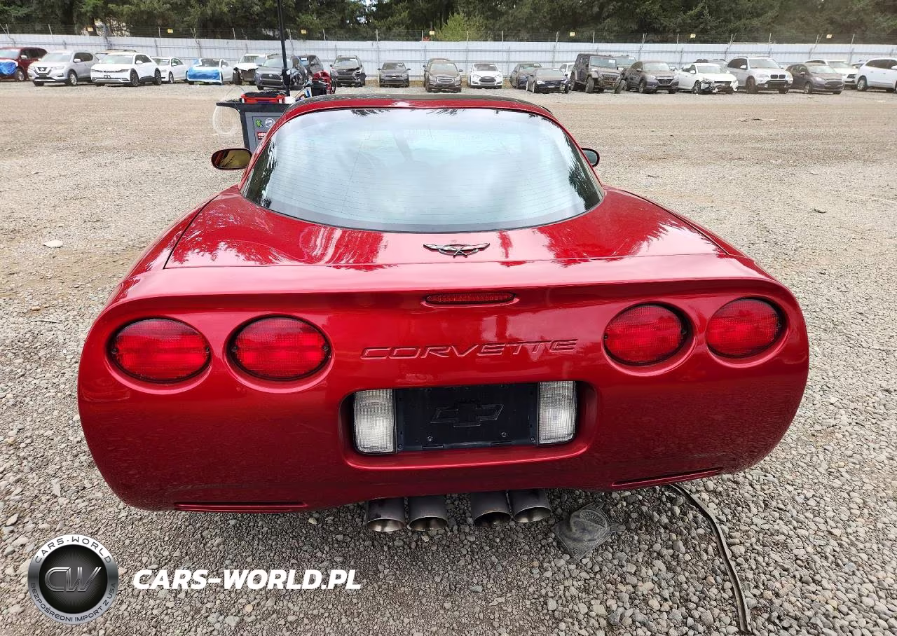 2004 Chevrolet Corvette VIN:1G1YY22G745123006 - 6