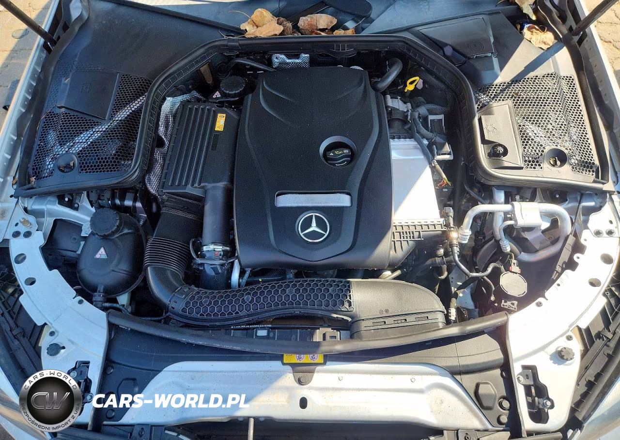 2016 Mercedes-Benz C 300 VIN:55SWF4JB8GU178619 - 11