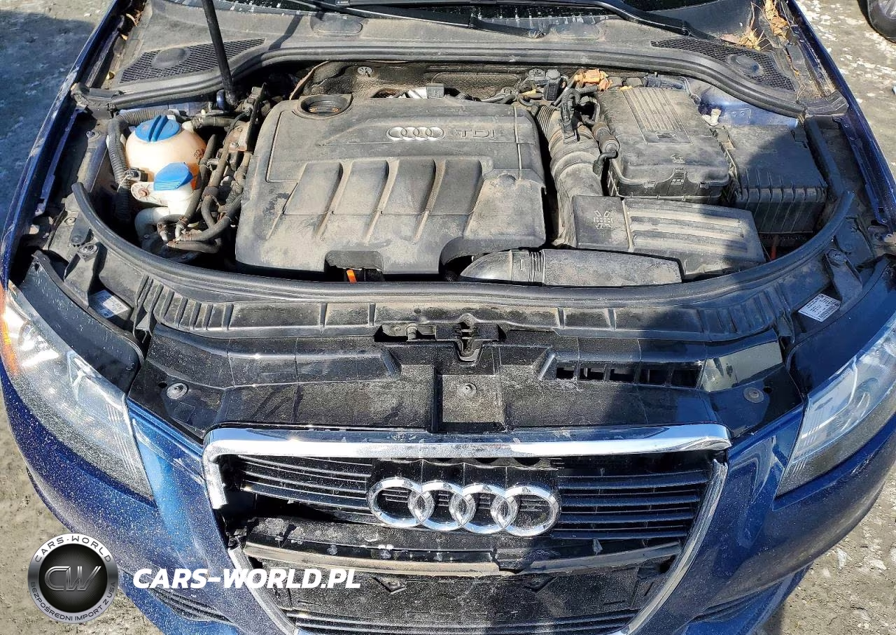 2012 Audi A3 Premium VIN:WAUBJAFM7CA056311 - 11