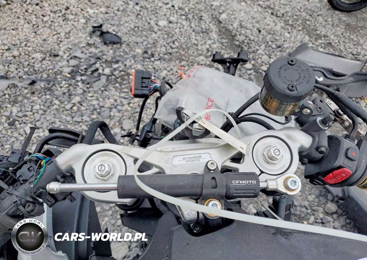 2025 Cf Moto 675Ss VIN:LCEPEVLP4S6001643 - 7