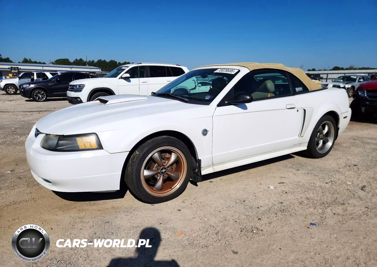 2004 Ford Mustang Gt VIN:1FAFP45X84F241638 - 1