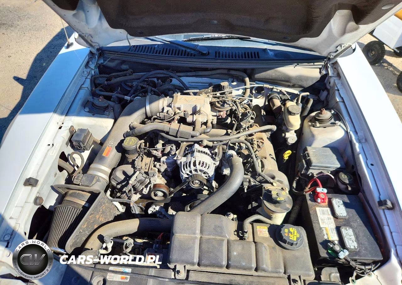 2004 Ford Mustang Gt VIN:1FAFP45X84F241638 - 11