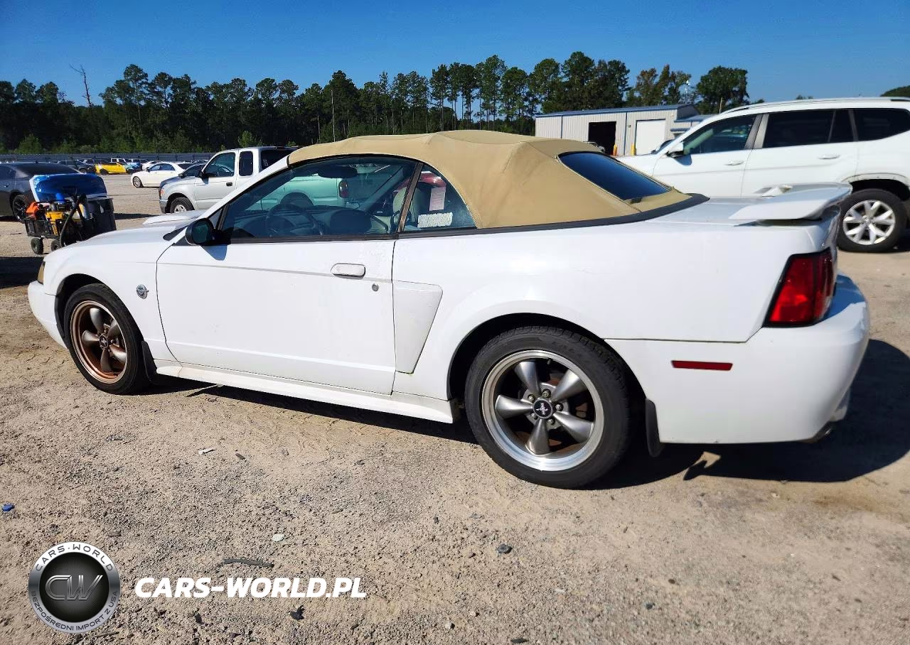 2004 Ford Mustang Gt VIN:1FAFP45X84F241638 - 2