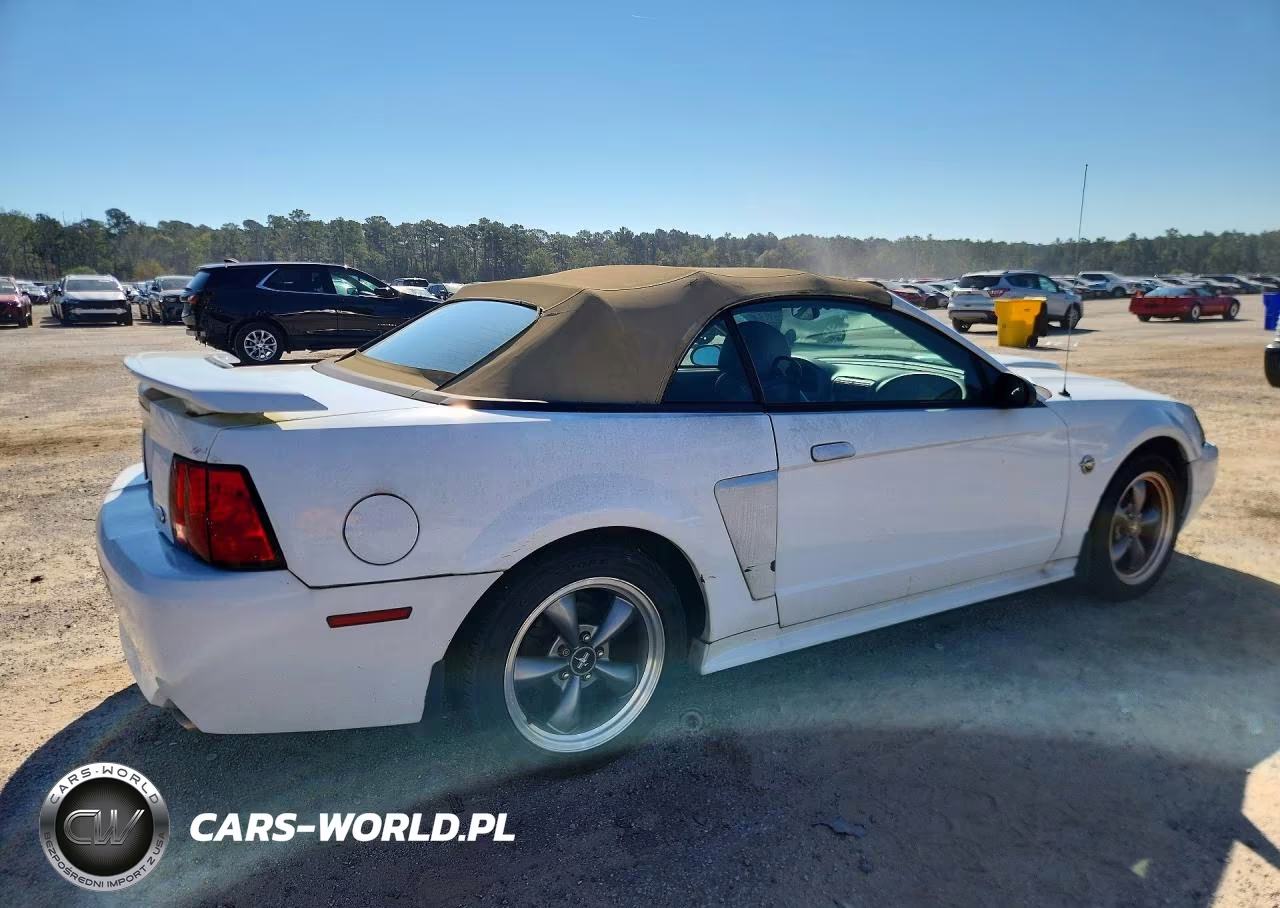 2004 Ford Mustang Gt VIN:1FAFP45X84F241638 - 3