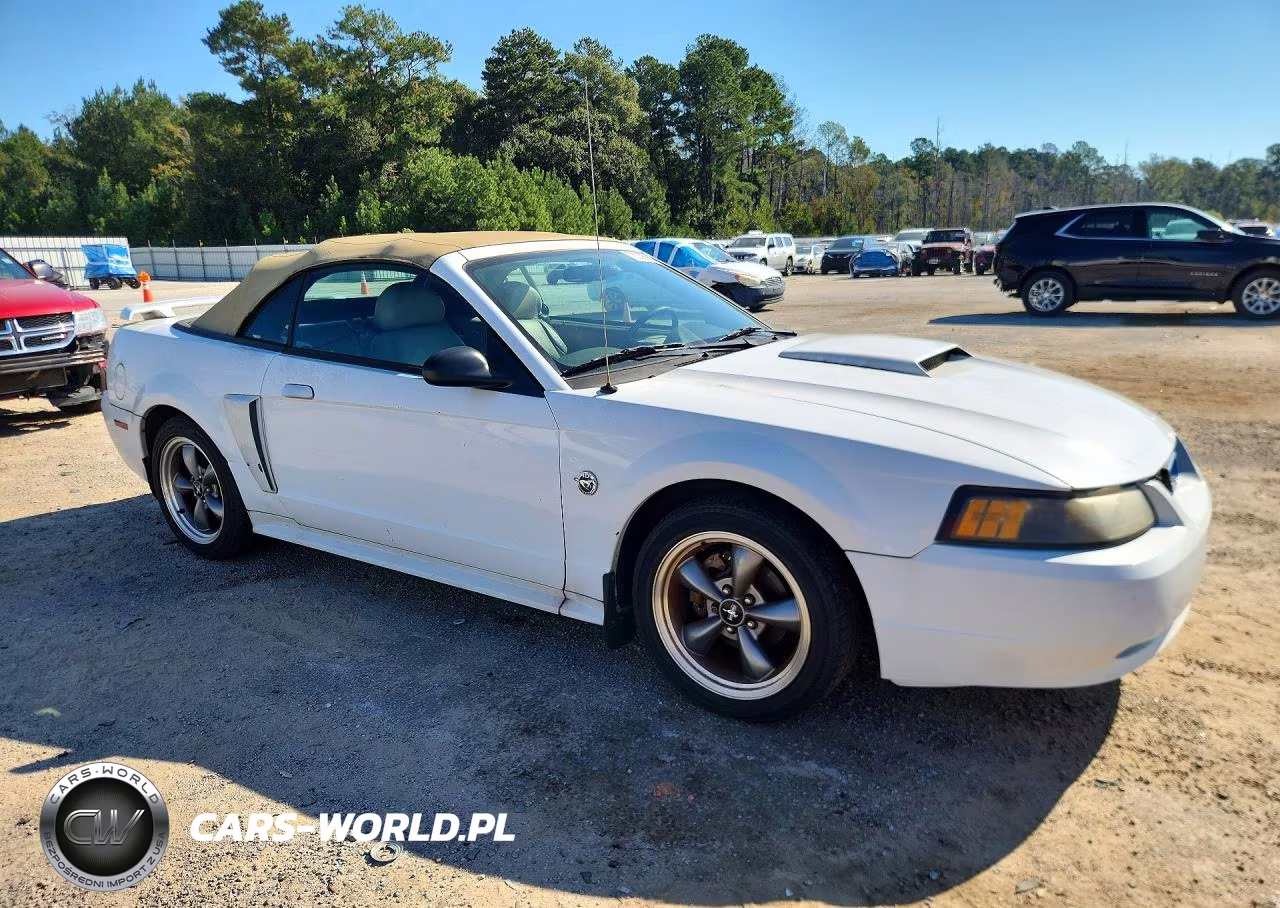 2004 Ford Mustang Gt VIN:1FAFP45X84F241638 - 4