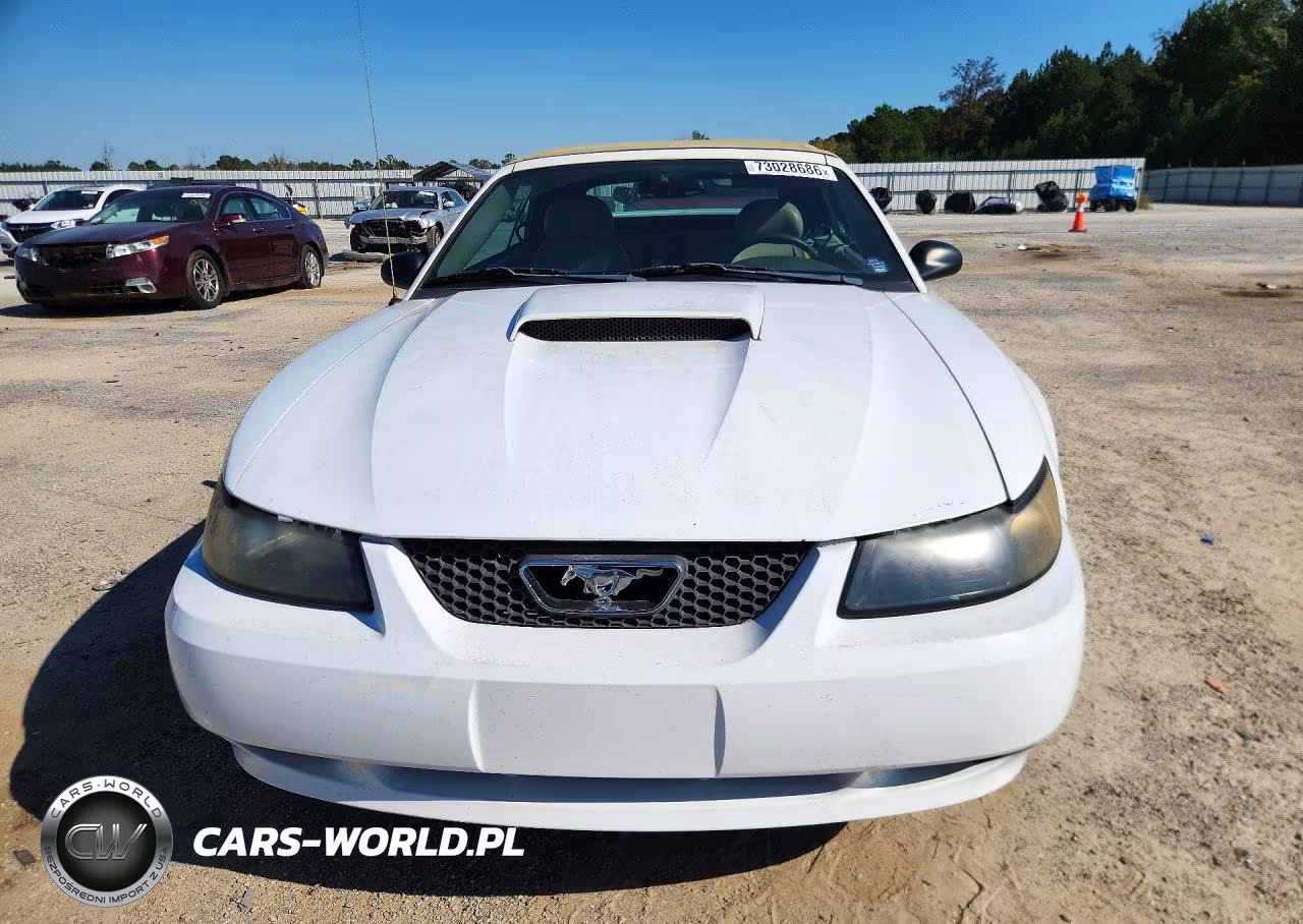 2004 Ford Mustang Gt VIN:1FAFP45X84F241638 - 5