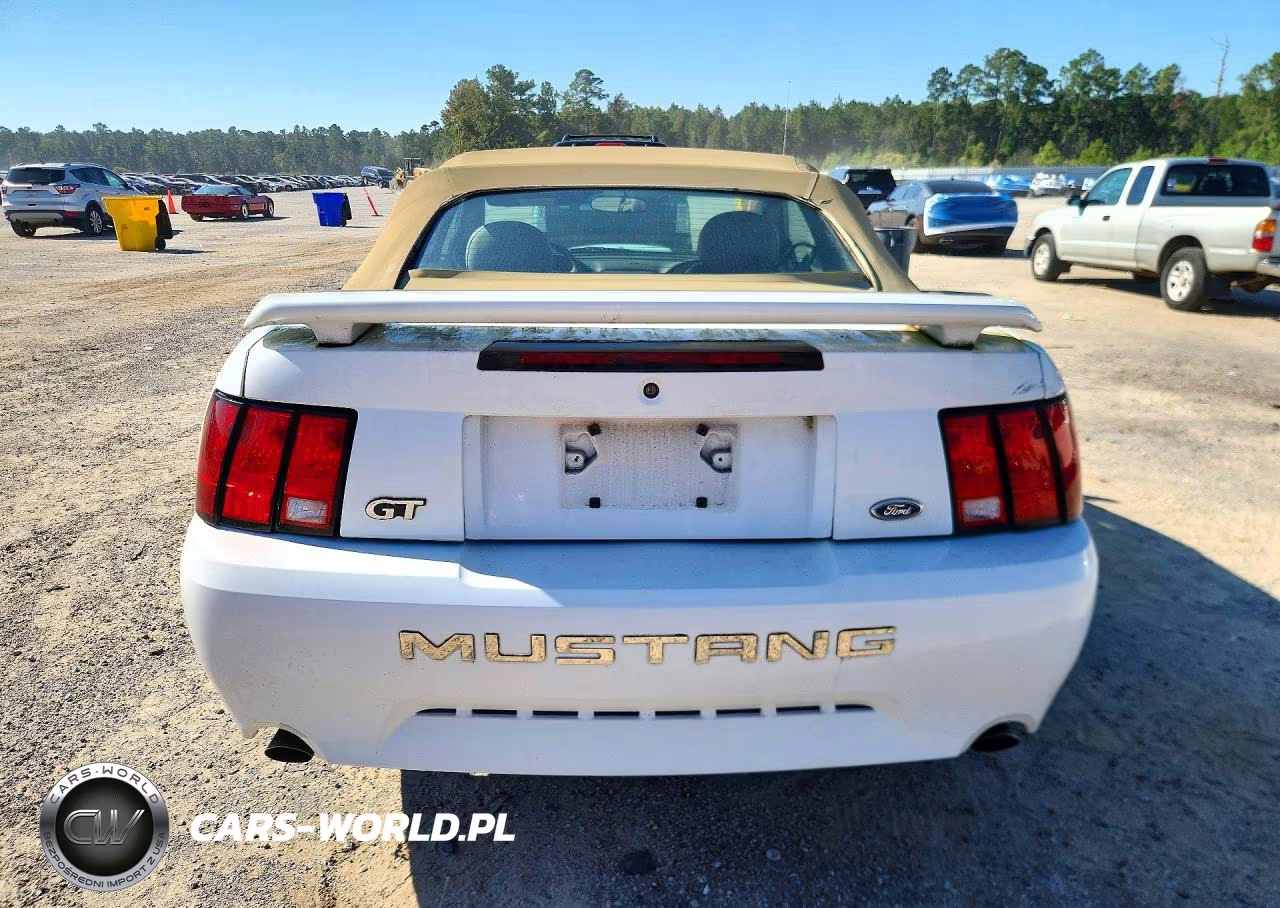 2004 Ford Mustang Gt VIN:1FAFP45X84F241638 - 6