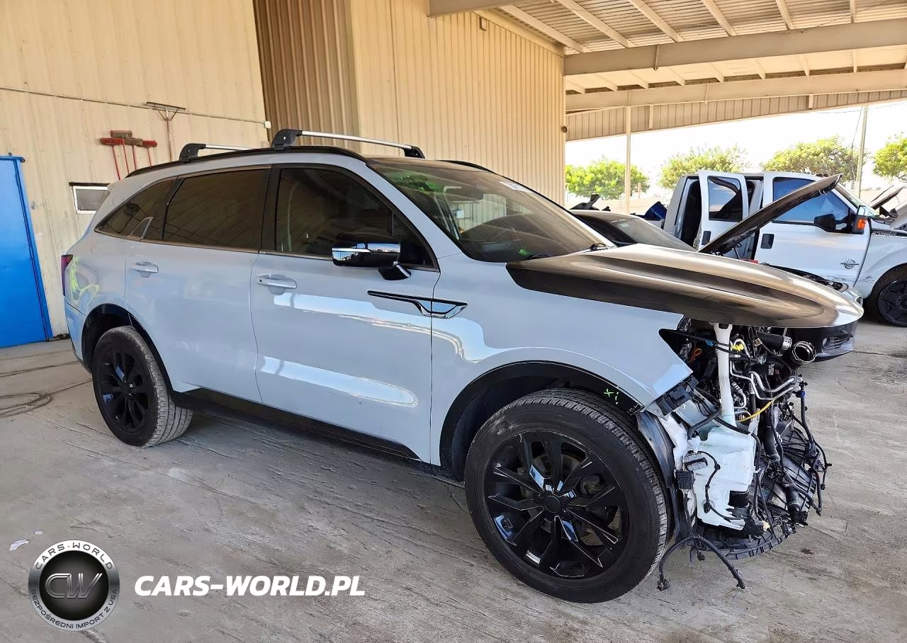 2022 Kia Sorento Sx VIN:5XYRKDLF9NG132670 - 4