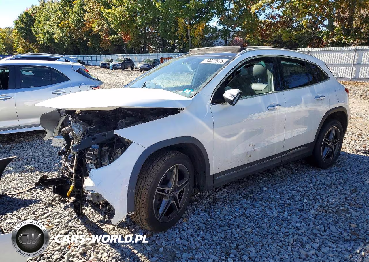 2022 Mercedes-Benz Gla 250 4Matic VIN:W1N4N4HBXNJ351105 - 1